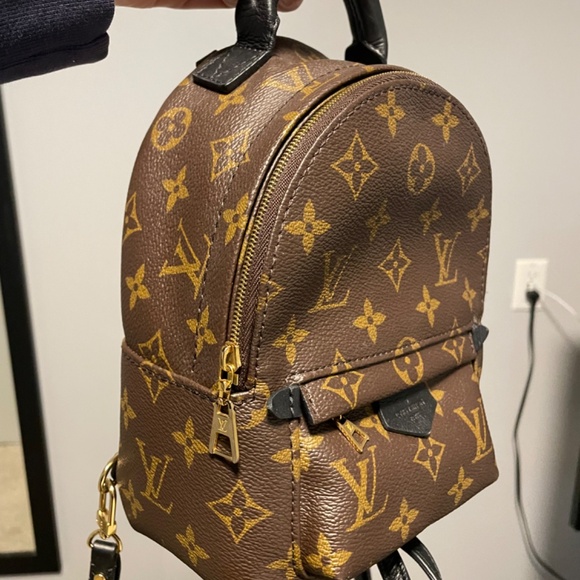 Palm Springs Mini - Picture 2 of 3